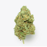 Flor CBD Gelato Greenhouse – Gorilla Grillz