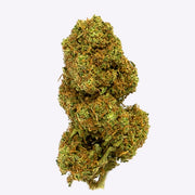 Flor CBD Orange Cookies Outdoor – Gorilla Grillz