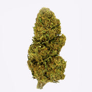 Flor CBD Lemon Haze Outdoor – Gorilla Grillz