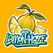 Flor CBD Lemon Haze Outdoor – Gorilla Grillz